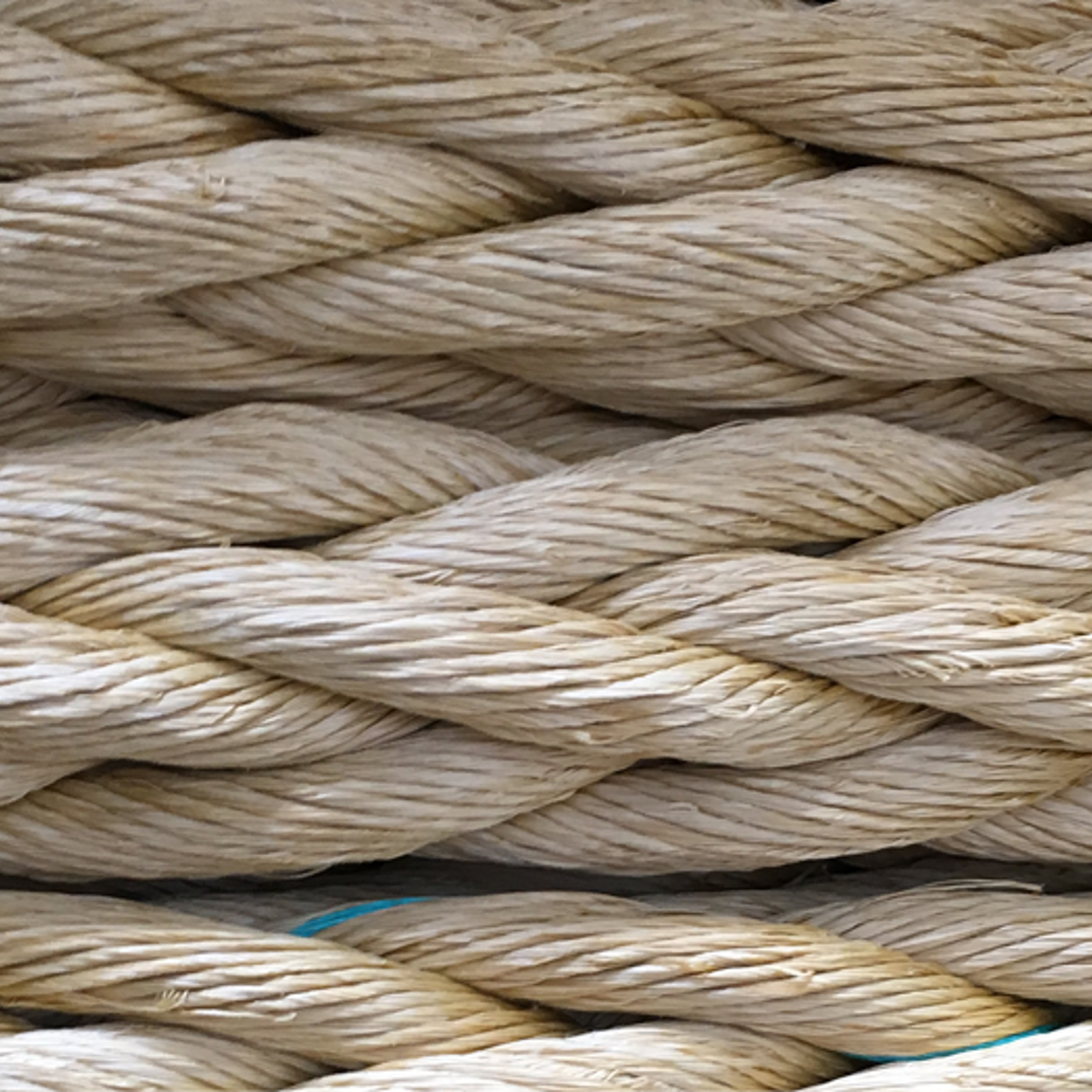 Image of Greenline 12-strand rope