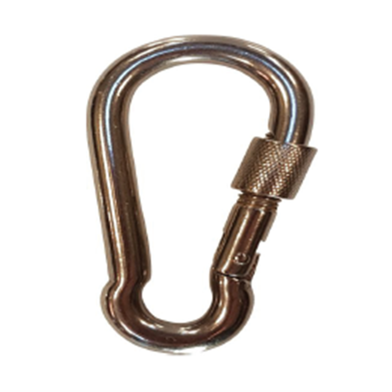 Image of Stainless carabine hook with lock screw