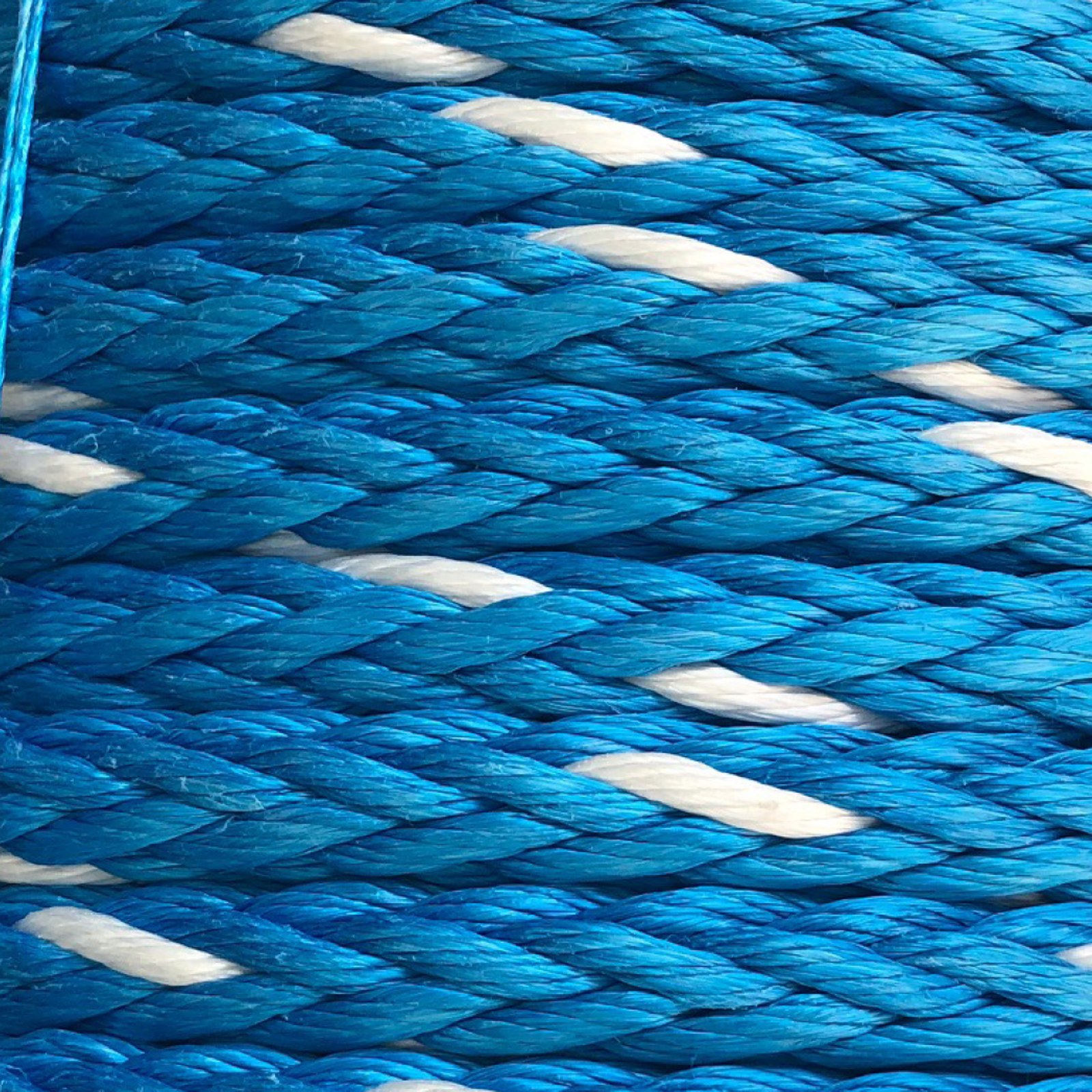 Image of Baltic blue pre-stretched – 12 strand