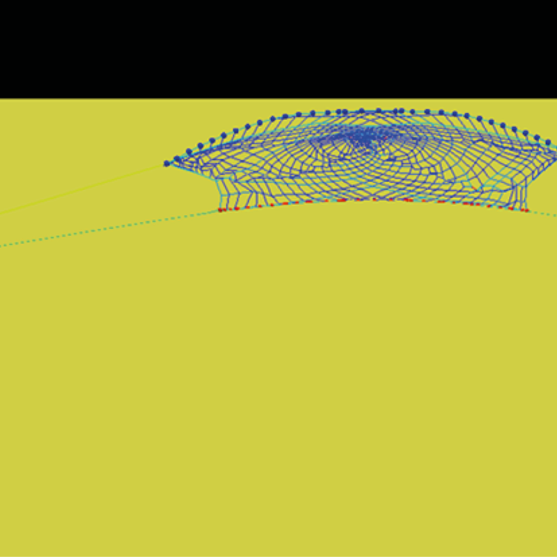 Image of Barent Sea Flatfish trawl