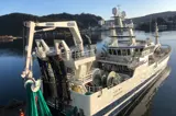 Equipment for commercial fishing - Greenline Fishing gear