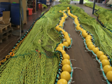 Floats for commercial fishing and fishing industry - Greenline Fishing Industry