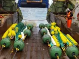 Bobbins for commercial fishing and fishing industry - Greenline Fishing Gear